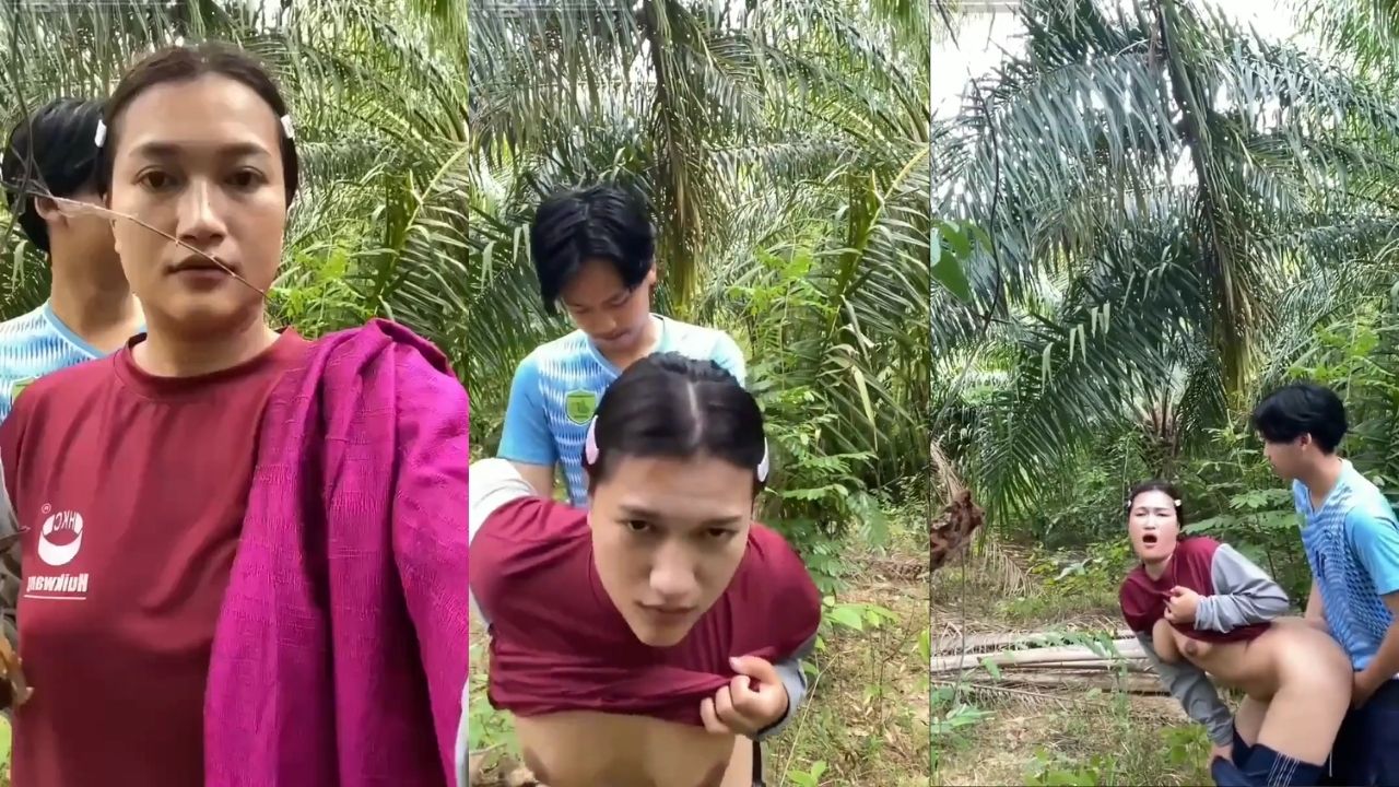 Bokep Indo Ibu Tiri Ngewe Anak Tiri Di Kebun Sawit
